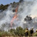 Kalifornijoje dėl sparčiai plintančių gaisrų tūkstančiams žmonių teko palikti namus