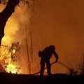 Kalifornija grumiasi su didžiausiu per istoriją gaisru