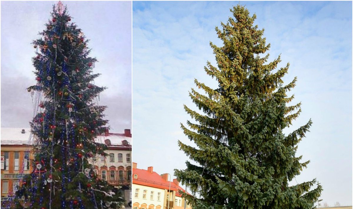 2013 ir 2015 m. Kalėdų eglės Panevėžyje (DELFI ir E. Krikščiūno nuotr.)