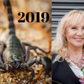 2019 metų horoskopas Skorpionui: teks veikti ryžtingai