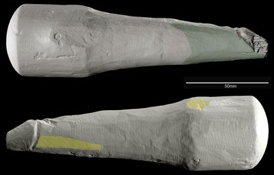 Medinis penio formos įnagis buvo naudojamas Romos imperijos laikais. R. Sands/R. Collins/Vindolanda Trust nuotr.