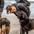 Skirtingi prieglaudos gyvūnų likimai: paženklinti tą pačią dieną važiuoja namo, neženklinti gali likti narve su visam