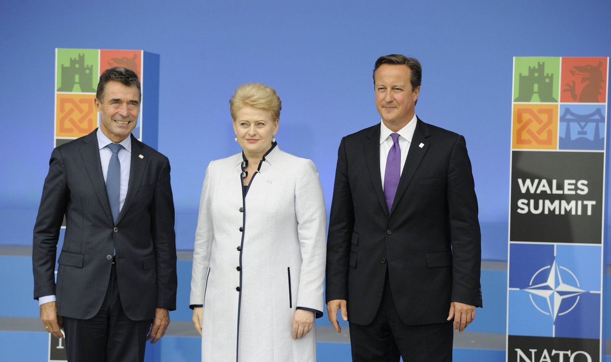 Anders Fogh Rasmussen, Dalia Grybauskaitė, David Cameron