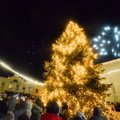 Skelbiama Klaipėdos Kalėdų eglės paieška