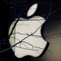 Žiniasklaida: „Apple“ svarsto iš Kinijos iškelti iki 30 proc. gamybos