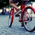 Kauno rajone planuojamas naujas dviračių takas