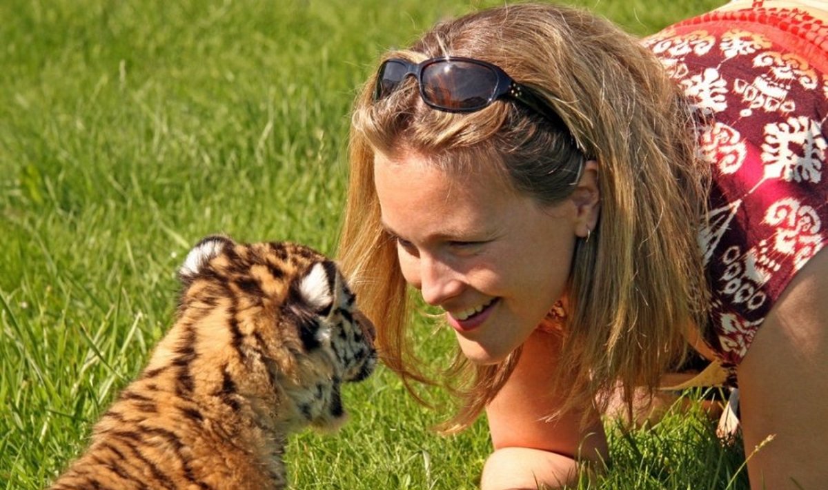 Moteris susipažįsta su tigro jaunikliu