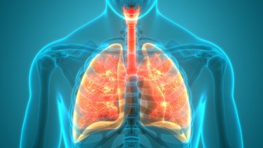 Medžiaga, nuodijanti mūsų organizmą nepastebimai: žala plaučiams pasireiškia po keleto metų