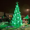 Prasidėjo kalėdinių eglių maratonas: įžiebta išskirtinė ir tvariausia žaliaskarė Lietuvoje