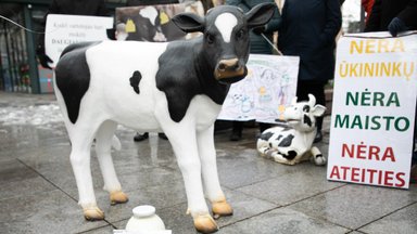 Parengtas Pieno įstatymo projektas: lubos priedams ir priemokoms, nebeliktų pieno grupių
