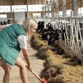 „Misija ūkis“: kaip sulaukti gausaus derliaus ir kodėl karvėms reikia vandens lovų