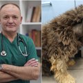 Pikta šunų vėžio forma jau kurį laiką sėkmingai gydoma ir Lietuvoje