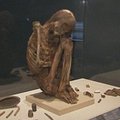 Parodoje Los Andžele eksponuojamos mumijos iš viso pasaulio