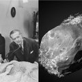Egzistuoja tik vienas žmogus, į kurį pataikė meteoritas: rimtesnės bėdos prasidėjo kur kas vėliau