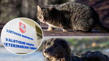 Konfiskavo nelegaliai veisiamus 19 šunų ir 4 kates: guolius atstojo padangos, pašarą – surūgusi košė