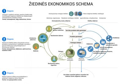 Žiedinės ekonomikos schema