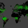 Pasaulio miškai per dešimtmetį: iškirsta beveik tris kartus daugiau, nei atsodinta