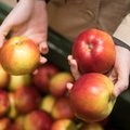 Lenkai diktuoja kainas ir obuolių supirkėjams