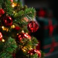 Kalėdų eglutėje pastebėję kažką neįprasto liko be žado – tokius „papuošimus“ reikėjo gaudyti