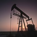 „Biržos laikmatis“: nafta brangsta mažėjant investuotojų susirūpinimui dėl „Omicron“