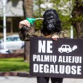 Vilniaus centre protestą surengė orangutangais persirengę jaunuoliai