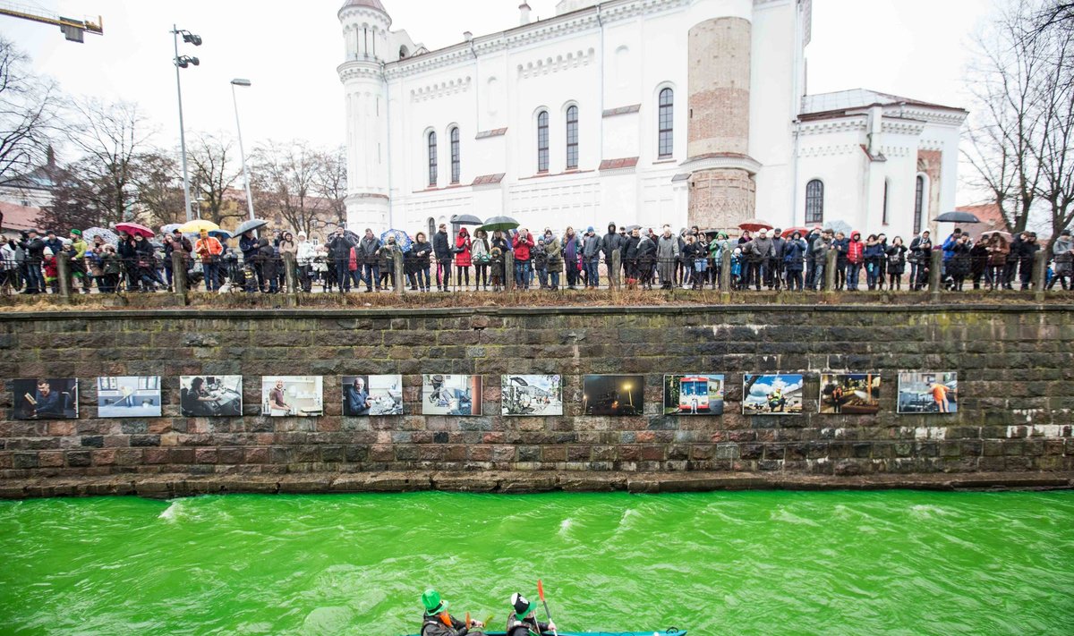 2019 03 16 Vilniuje tradiciškai minint Šv. Patriko dieną Užupyje Vilnelė nusidažo žaliai