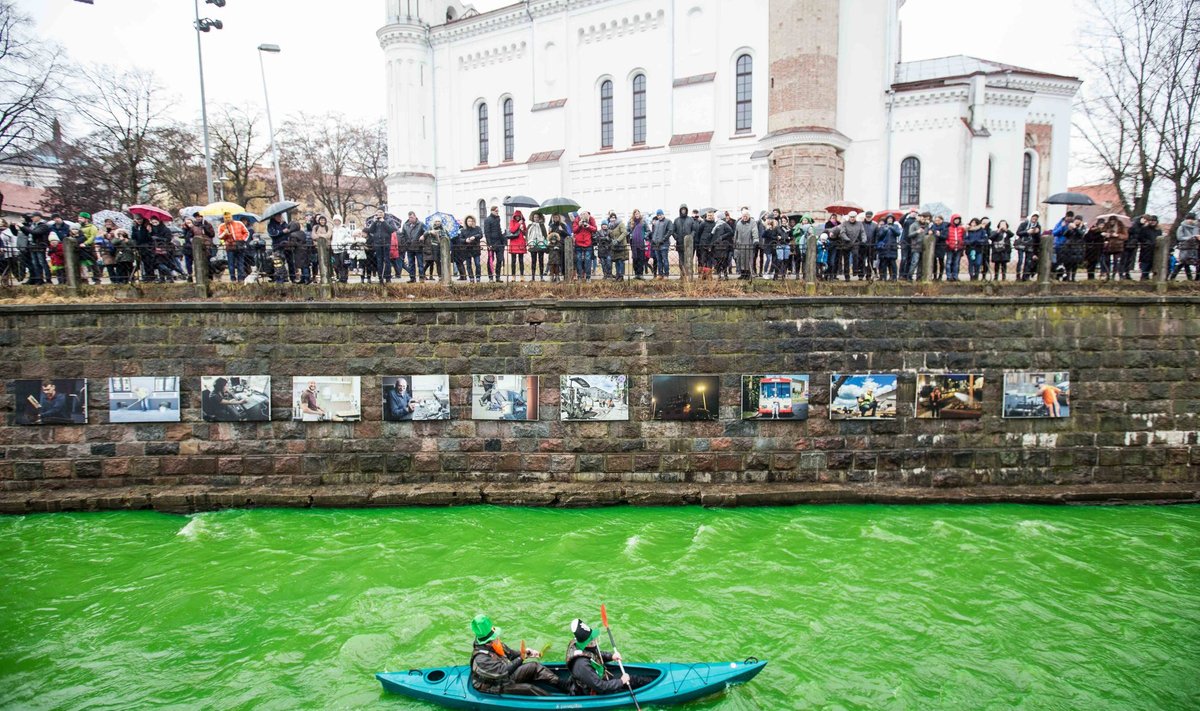Vilniuje tradiciškai minint Šv. Patriko dieną Užupyje Vilnelė nusidažo žaliai
