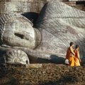 Žymiausias Šri Lankos turistinis objektas vilioja didžiulėmis Budos statulomis ir laukinių makakų populiacija