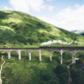 Keisčiausi pasaulio traukiniai: unikalūs kelionės įspūdžiai – garantuoti