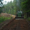 Miško kelių remontui skirs 11 milijonų