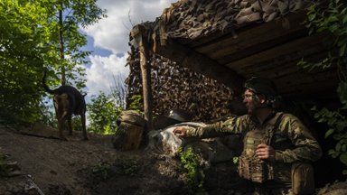 Наступление войск РФ к северу от Харькова: что известно