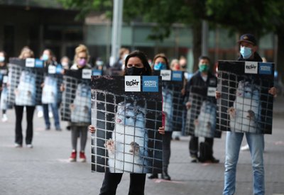 Protestas prieš kailinių žvėrelių fermas