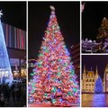 Įspūdinga Kalėdų eglė suspindo ne tik Vilniuje: štai taip atrodo gražiausios eglutės Europos sostinėse