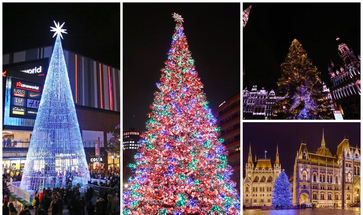 Kalėdų eglės Europos sostinėse