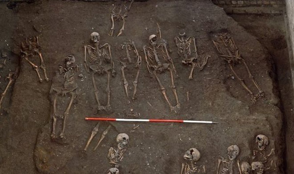 Под университетом Кембриджа найдено древнее кладбище