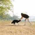 Šuns vedžiojimas: kokių pasivaikščiojimo tipų gali būti ir ką daryti, kad šuo „neištrauktų“ rankų?