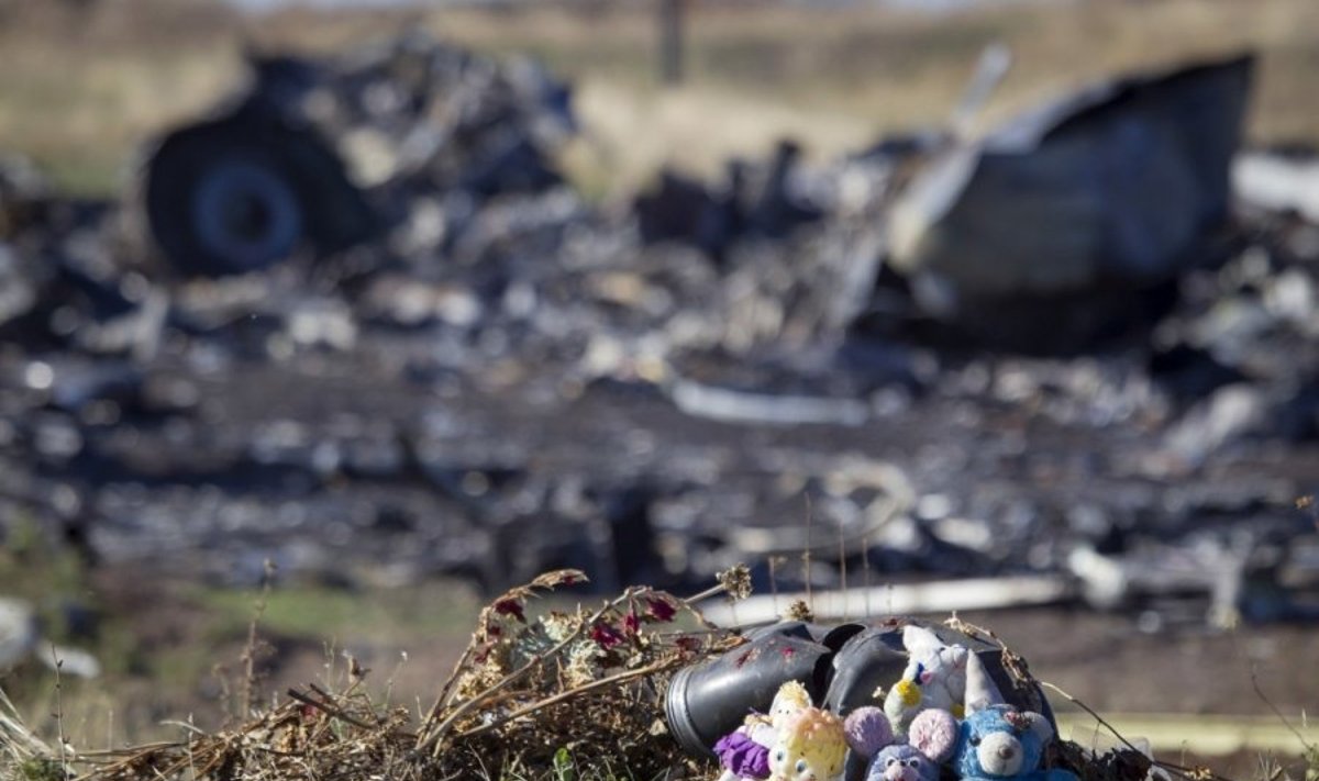 Nyderlandų ekspertai Rytų Ukrainoje dalyvavo lėktuvo aukų daiktų paieškoje