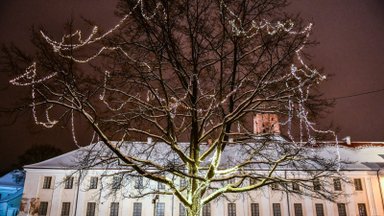Šeštadienį Vilniaus senamiestyje bus įžiebtas šventinis ąžuolas