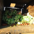 Rusija griežtins vaisių importą iš Moldovos