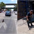 Į judrią gatvę išbėgo šuo: dviratininkė dėl jo rizikavo gyvybe