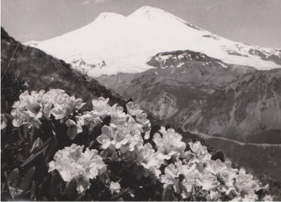 Snieguotos Elbruso viršūnės