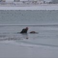Policijos naras iš užšalusio ežero ištraukė šuniuką