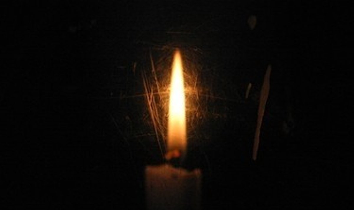 Žvakė