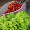Ar lietuviška alga suderinama su ekologišku maistu?