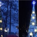 Kazlų Rūdoje įžiebta reto grožio Kalėdų eglutė