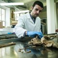 Mokslininkai aptiko seniausius Lietuvoje žmogaus vaisiaus palaikus