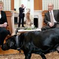 Sergejaus Šoigu dovanotas šuo Putinui buvo ne tik mylimas augintinis: sutrikdė ne vieną pas Rusijos prezidentą viešėjusį aukštą pareigūną