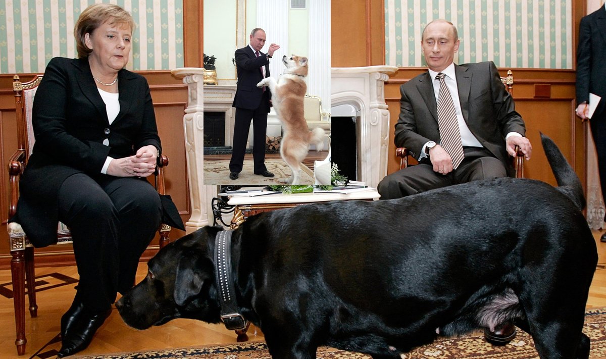 Vladimiro Putino augintiniai / Foto: Scanpix, Vida Press