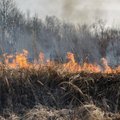 Žolės deginimo atmintinė: kas galima ir už ką gresia bauda?