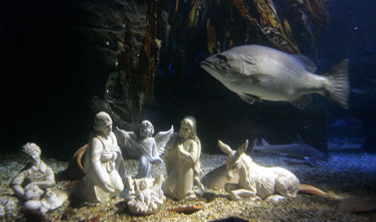 Berlyno vandenyniniame akvariume 3,5 metro gylyje įrengta prakartėlė. 